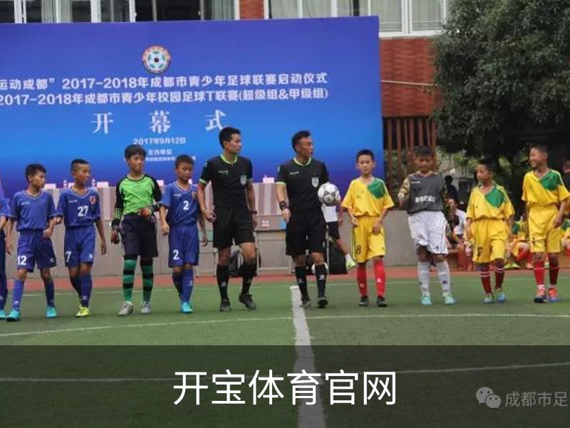 开宝体育官网概况